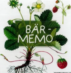 Bär Memo