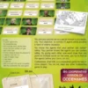 Codenames: Duet XXL (ENG)