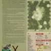 Combat Commander: Battle Pack 4 - New Guinea