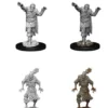D&D Nolzur's Marvelous Miniatures: Scarecrow & Stone Cursed (Unpainted)