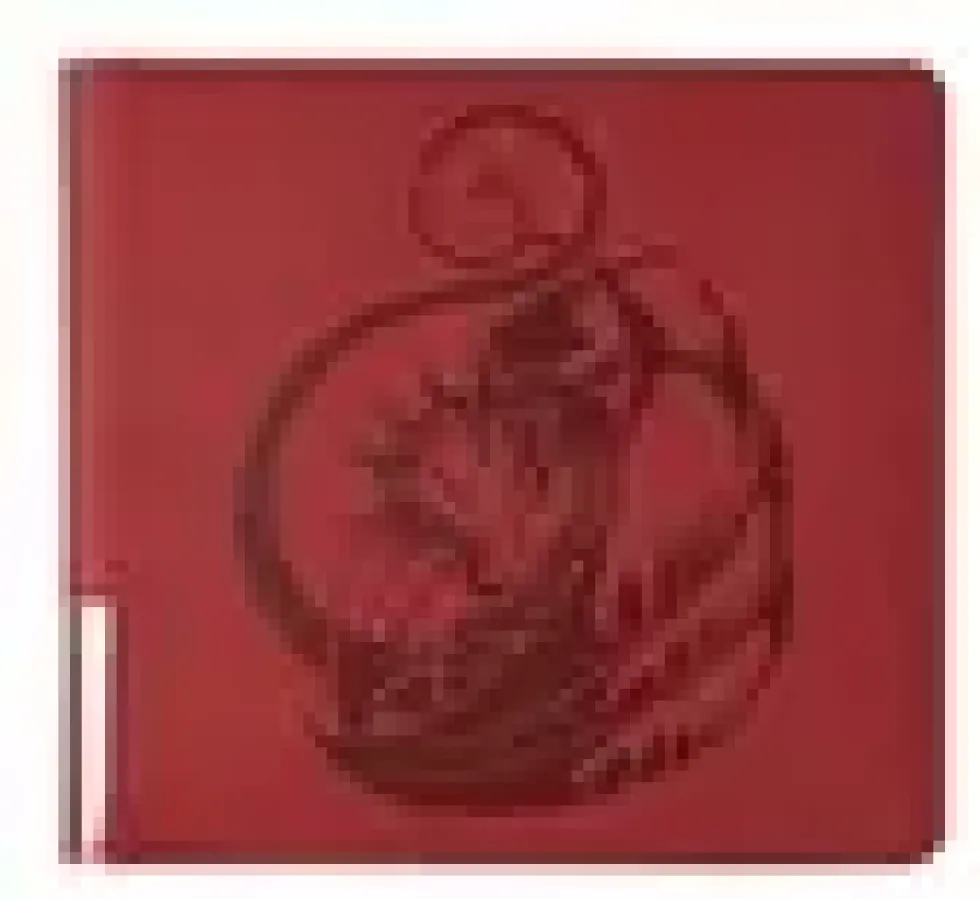 Dragon Shield Card Codex: Zipster Binder - XL - Blood Red