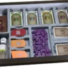 Folded Space INSERT - Lorenzo il Magnifico