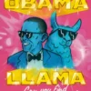 Obama Llama