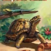 Reptile Tank